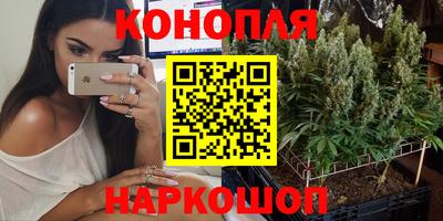 крисы Абинск