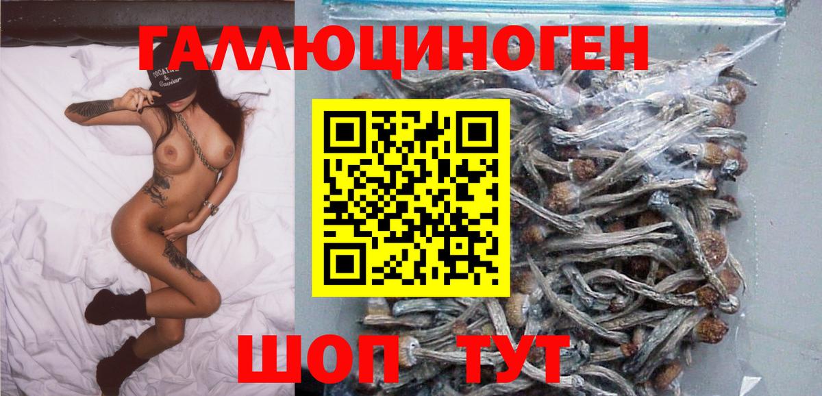 Псилоцибиновые грибы Magic Shrooms Аша