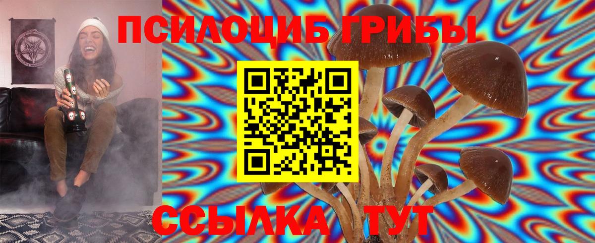 Аша  Галлюциногенные грибы MAGIC MUSHROOMS  наркота  Вход с VPN  Галлюциногенные грибы MAGIC MUSHROOMS 