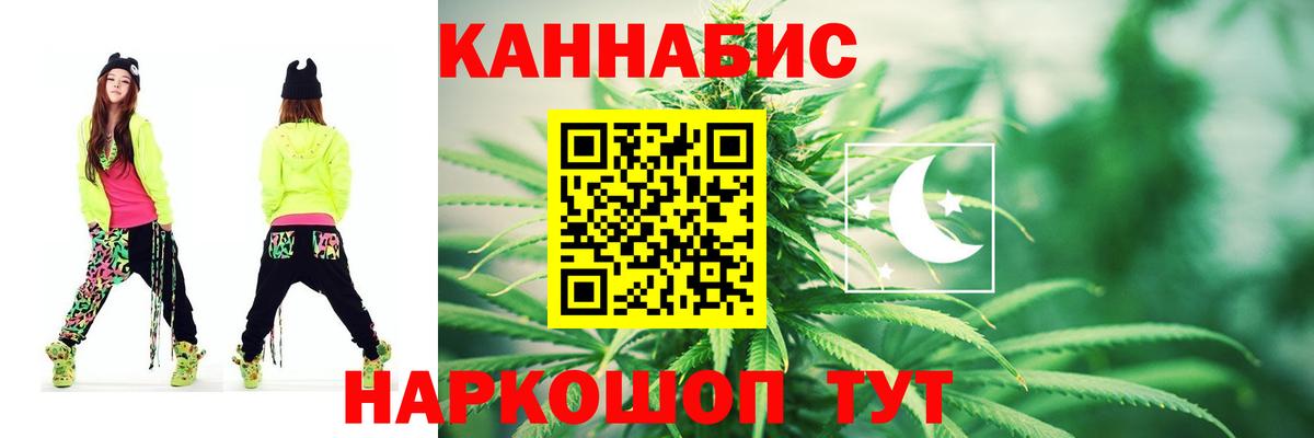 Канабис планчик Аша